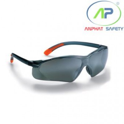 Kính BHLĐ Proguard SERPENT-SSM